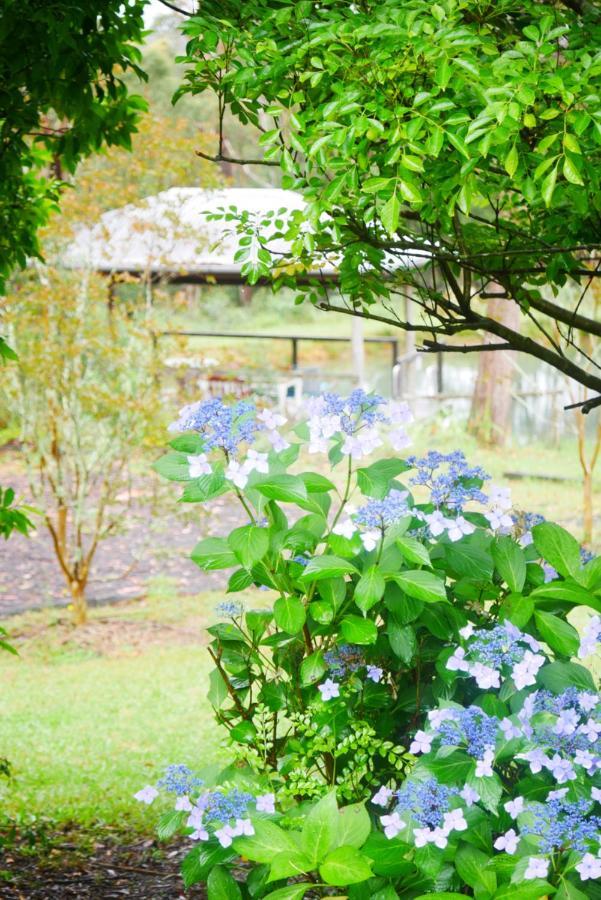 True North - 4Br Home & Garden In Bush Setting With Huge Bath Bilpin Экстерьер фото